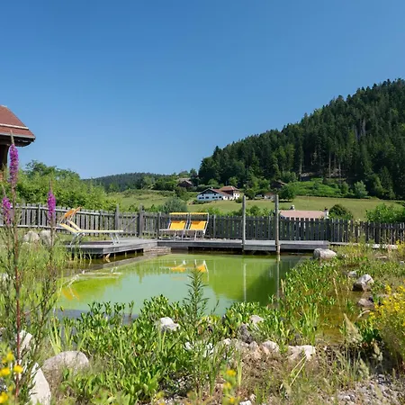Chalet D'Exception 10 Personnes Avec Sauna Privatif Et Piscine Naturelle - Le Domaine Des Fleurs Gerardmer *