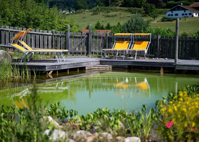 Le Domaine Des Fleurs - Le Coeur De Marie Horská chata Gérardmer